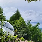 Les Bulles Du Coq De Champagne *