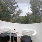 Les Bulles Du Coq De Champagne