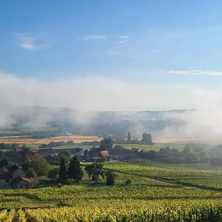 Les Bulles Du Coq De Champagne * Dormans