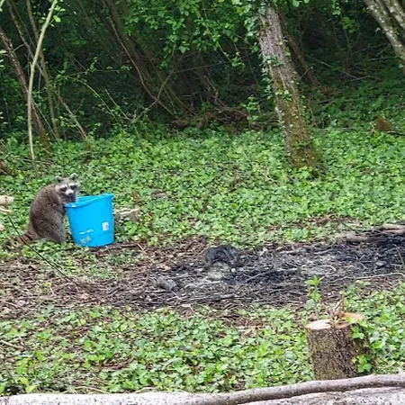 Luxury tent Les Bulles Du Coq De Champagne Dormans