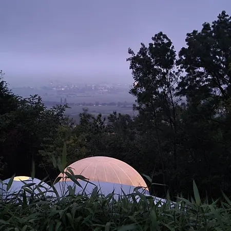 Les Bulles Du Coq De Champagne