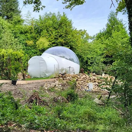 Luxussátor Les Bulles Du Coq De Champagne
