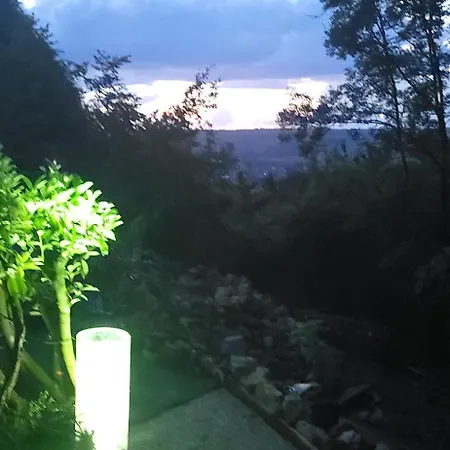 Les Bulles Du Coq De Champagne * Dormans