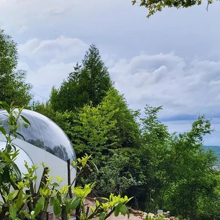 Les Bulles Du Coq De Champagne Dormans