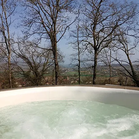 Les Bulles Du Coq De Champagne Dormans