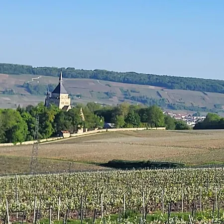 Les Bulles Du Coq De Champagne Campo de lujo Dormans