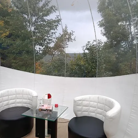 Les Bulles Du Coq De Champagne