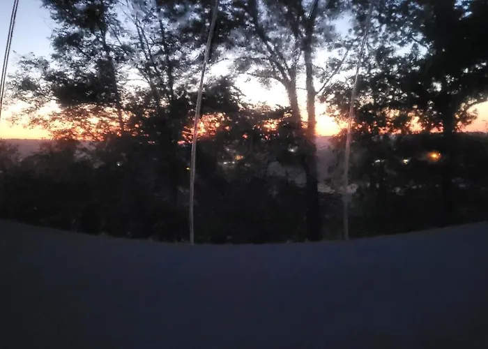 Les Bulles Du Coq De Champagne Luxussátor