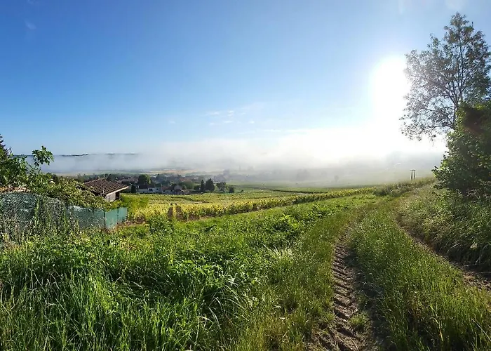 Les Bulles Du Coq De Champagne Luxussátor Dormans
