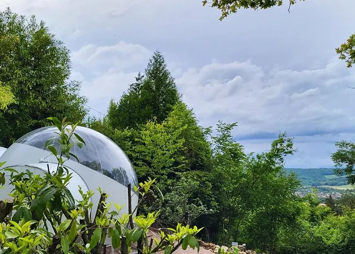 Les Bulles Du Coq De Champagne *