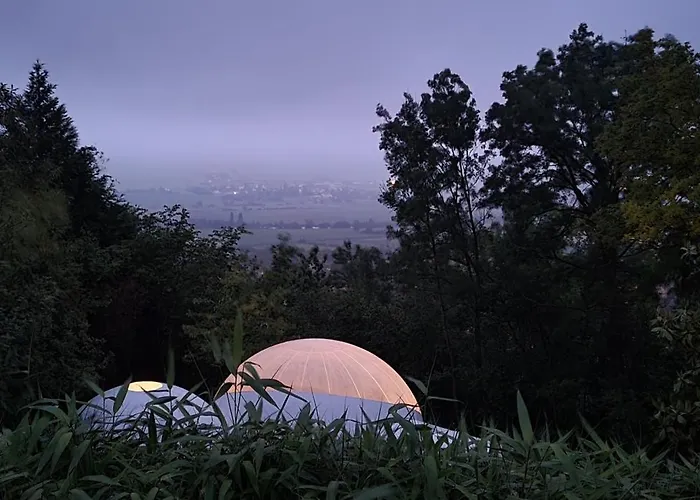 Les Bulles Du Coq De Champagne