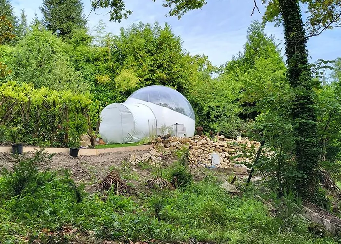 Luxussátor Les Bulles Du Coq De Champagne