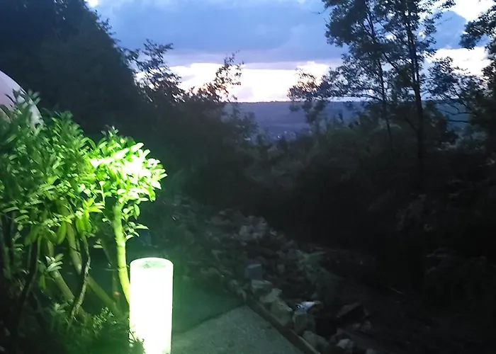 Les Bulles Du Coq De Champagne * Dormans