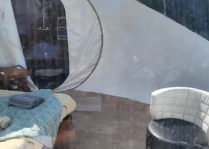 Luxussátor Les Bulles Du Coq De Champagne Dormans