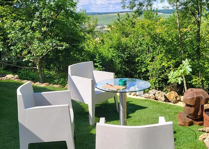 Les Bulles Du Coq De Champagne Luxussátor Dormans