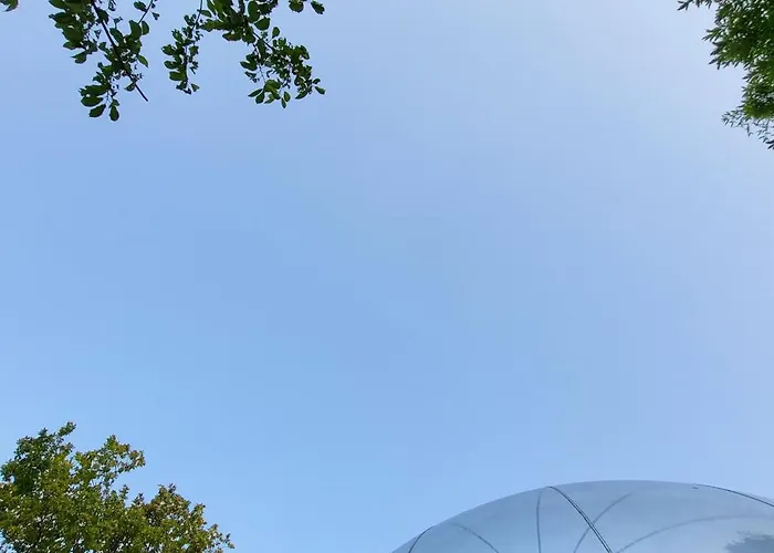 Luxussátor Les Bulles Du Coq De Champagne *