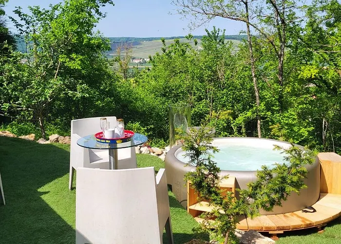 Les Bulles Du Coq De Champagne * Dormans